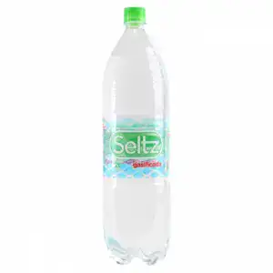SELTZ - AGUA CON GAS 2LTS