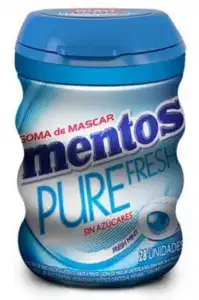 MENTOS PURE FRESH MINT 56GR